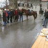 Blagoslov konj 2013_007